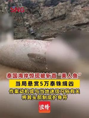 泰国海岸惊现被斩首“美人鱼”，当局悬赏5万泰铢缉凶