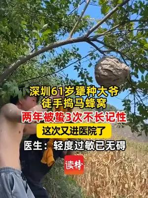 深圳61岁犟种大爷徒手捣马蜂窝 两年被蛰3次不长记性