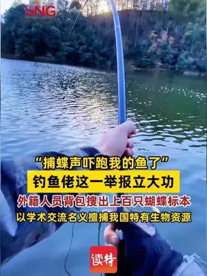 钓鱼佬这一举报立大功，外籍人员背包搜出上百只蝴蝶标本