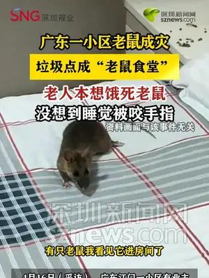 广东一小区老鼠成灾 老人本想饿死老鼠结果睡觉被咬手指
