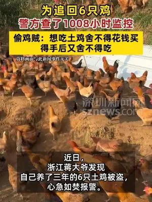 为追回6只鸡警方查了1008小时监控