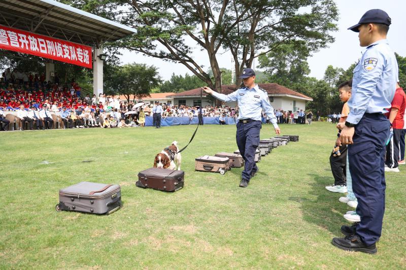 硬核又萌趣！深圳警营开放日刑侦专场：警犬秀绝活，市民零距离互动