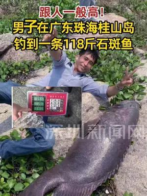 男子在广东珠海钓到118斤大石斑