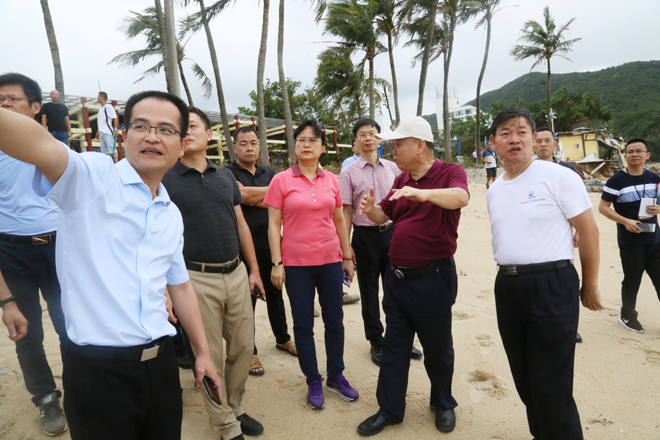 区委书记杜玲到梅沙街道检查指导台风灾后恢复工作