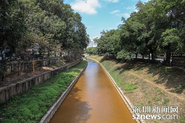 新洲河变黄河深圳水务集团回应清淤工程竣工冲刷管道所致