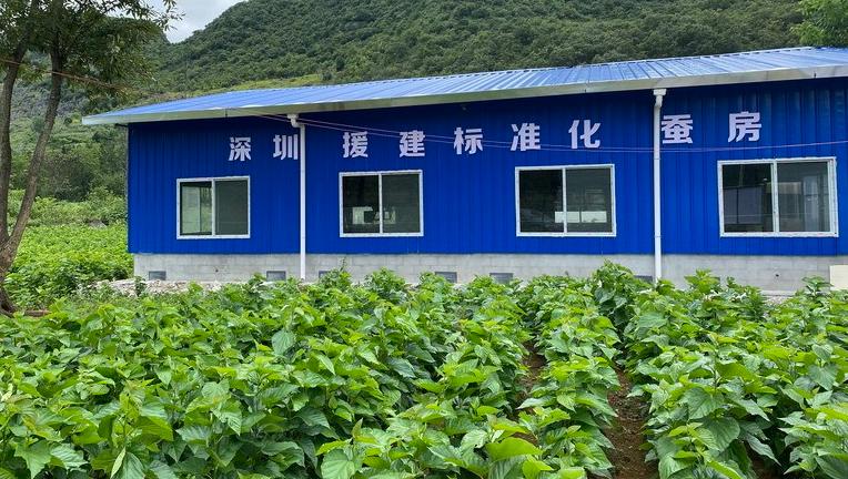【小康·摄影】深圳对口帮扶地区居民生活大变样