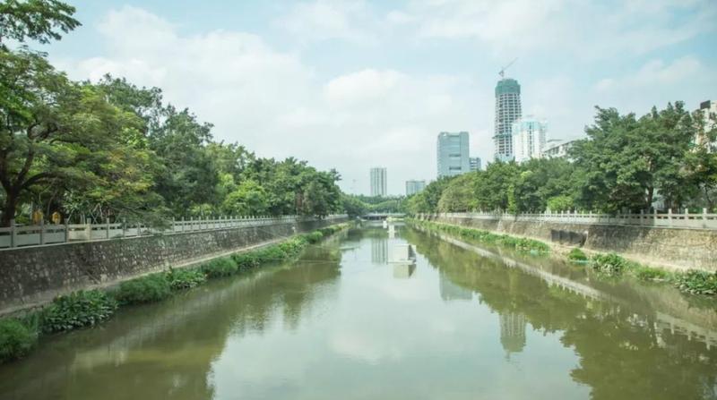 【小康·摄影】深圳新圳河景色恍如插画