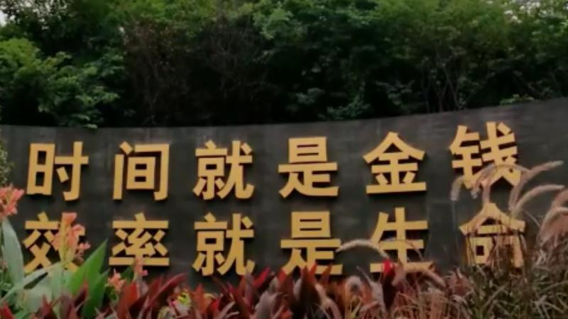 【百灵·靓】深圳：敢向潮头立