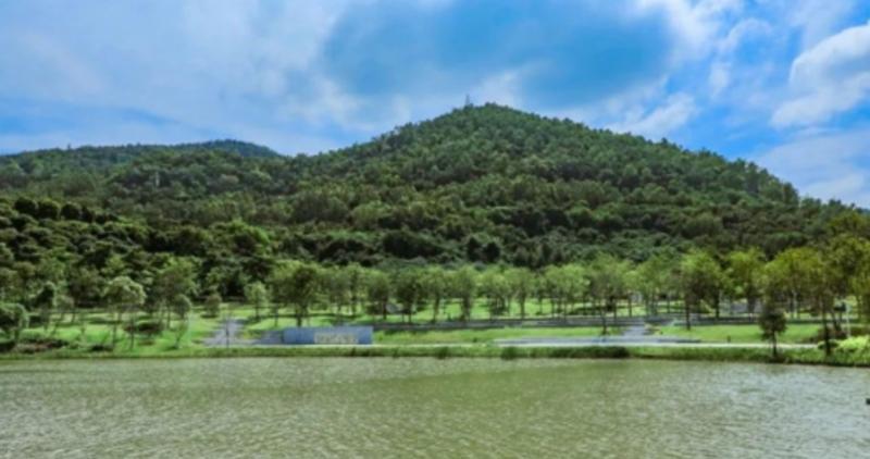 【旅游通】带你漫游深圳宝安人才林公园