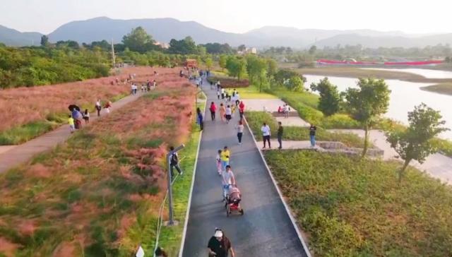 【百灵·靓】深圳大鹏新区禾塘湿地园开放首个周末迎来游客5000余人次