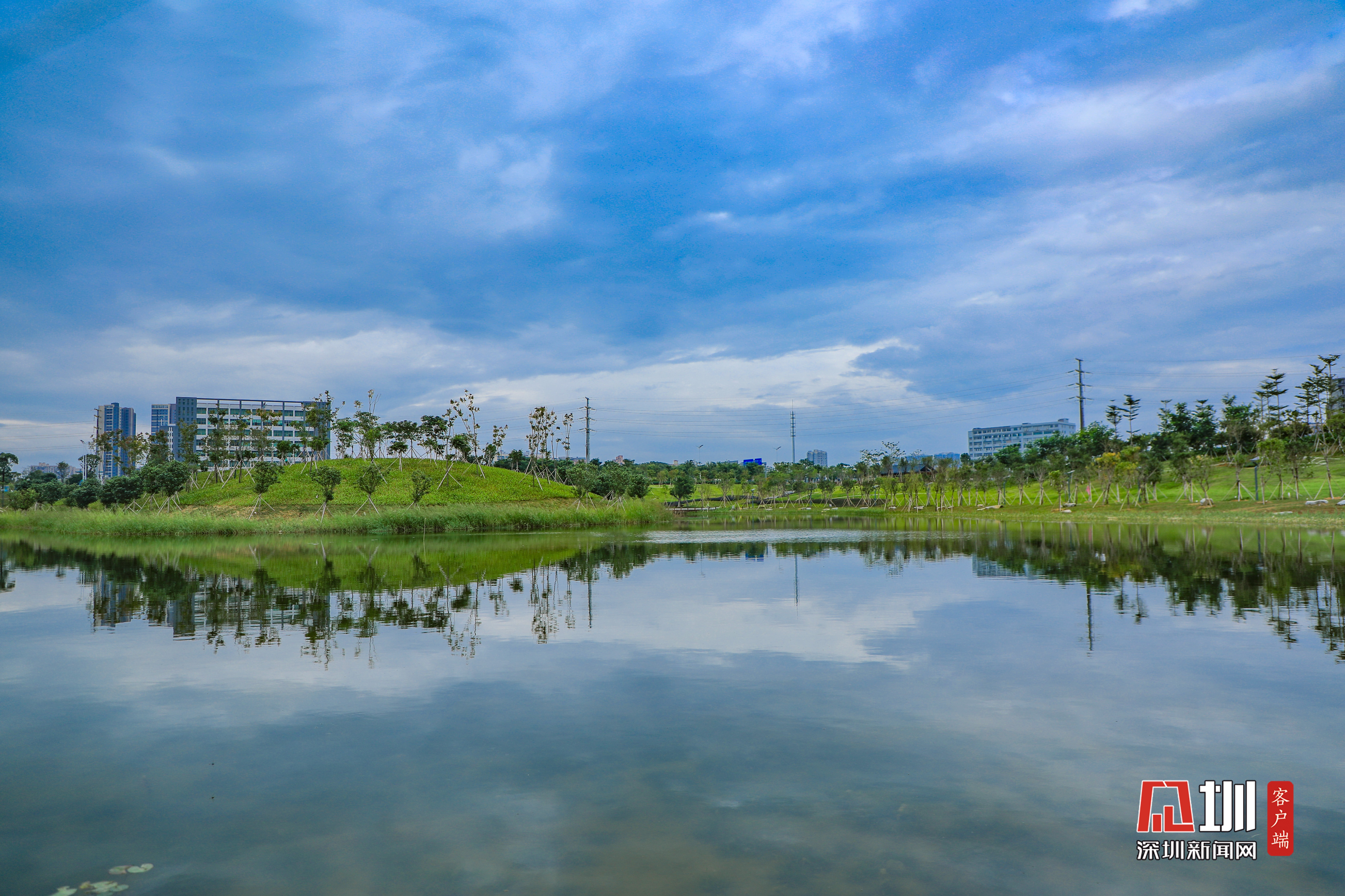 发现光明最美治水景观 | 东坑水调蓄湖:一湾清水栖白鹭