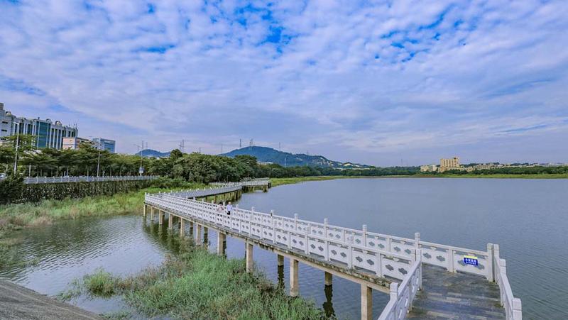 【大美深圳】深圳光明明湖公园：湖光山色引人胜