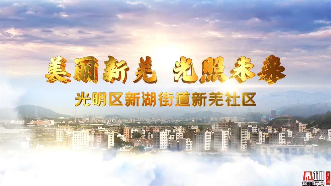 新湖房产：地产行业的新风向标
