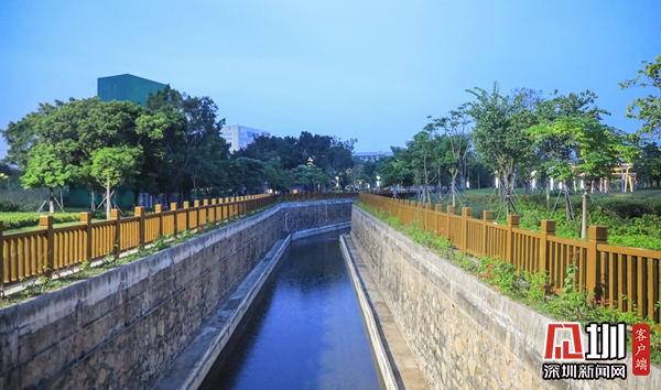 发现光明最美治水景观马田排洪渠裕湖公园段一渠清水润芳园