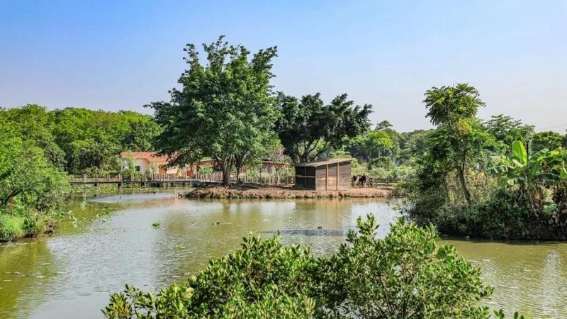 【视频荟萃】穿过“生态后花园” 探秘深圳宝安5个环境教育基地