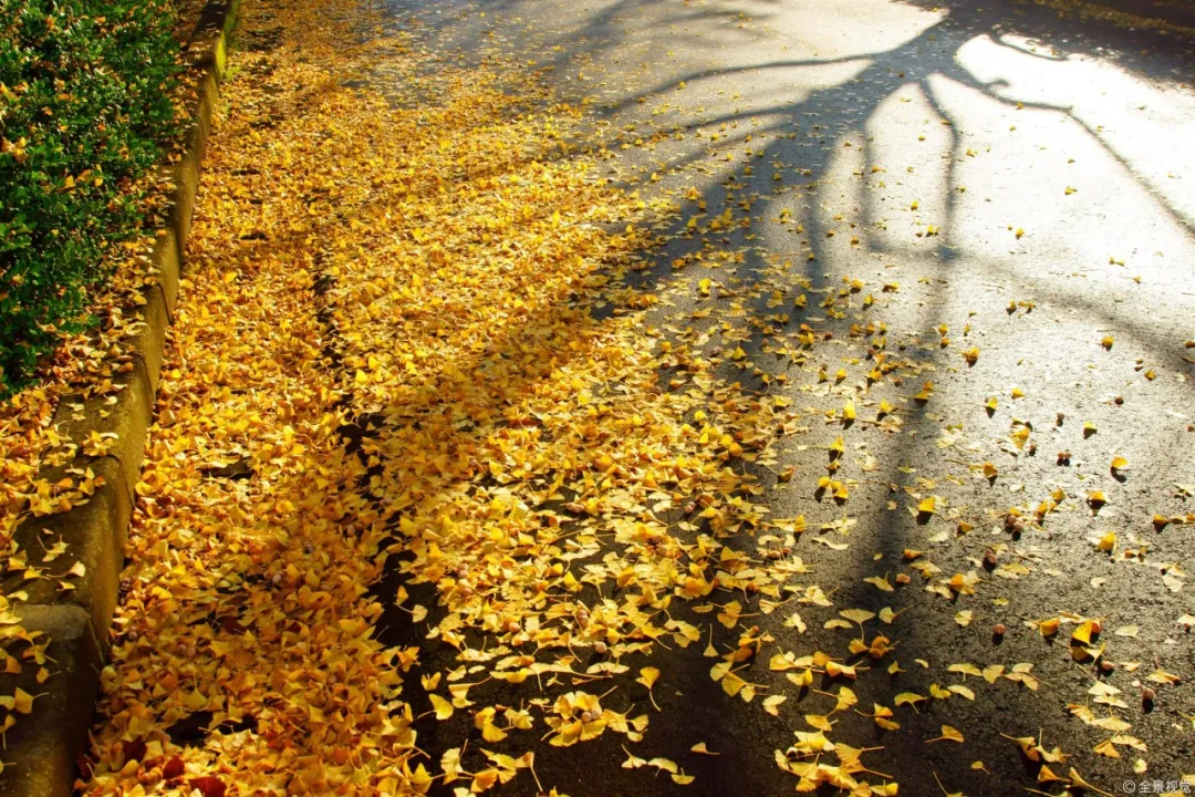 2℃,今年入秋时间会破记录吗?