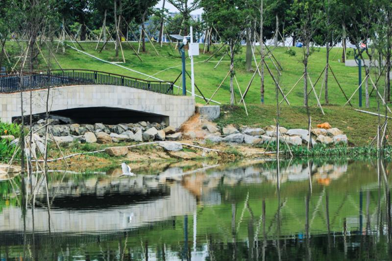 【视频荟萃】穿过“生态后花园” 探秘深圳宝安5个环境教育基地