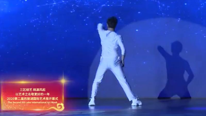 【文化深圳】2020第二届深圳西丽湖国际艺术周盛大开幕