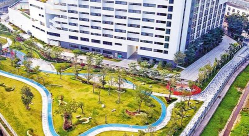 【旅游通】深圳龙华油松滨水公园完成建设将于近期开放