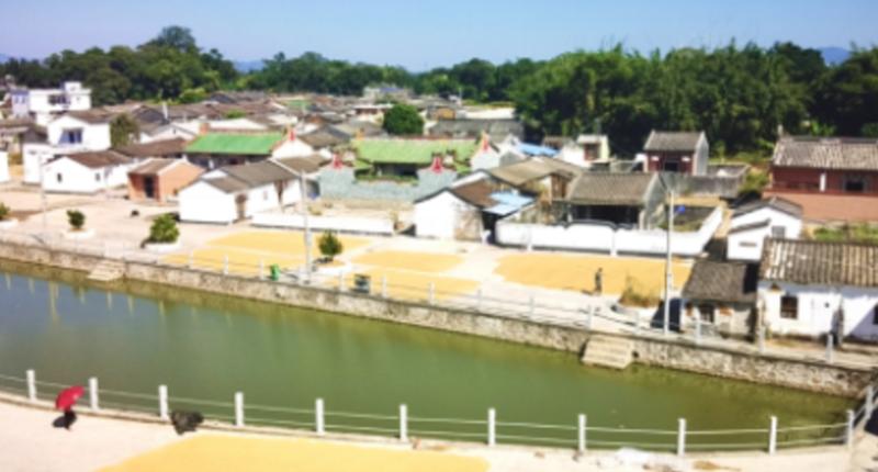 【走向我们的小康生活】深圳对口扶贫汕尾海丰县台东村：一个省定贫困村的美丽蝶变
