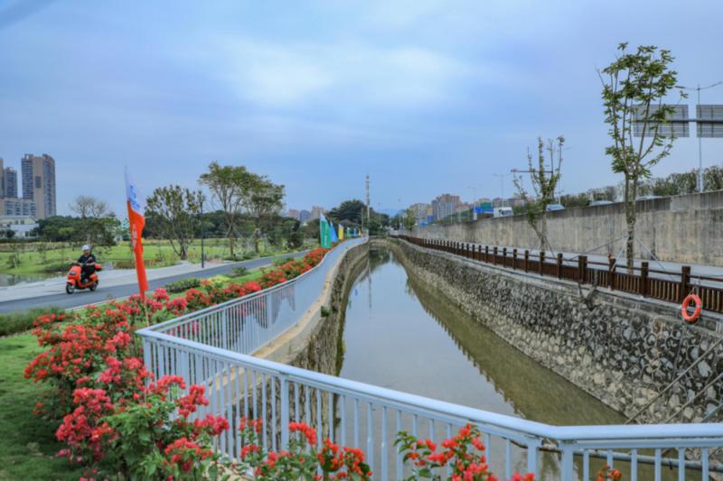【大美深圳】深圳楼村湿地公园：明湖映天光，花径起香尘