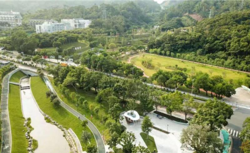 【青山绿水】2020年深圳市大鹏新区河流水质全部达到IV类以上