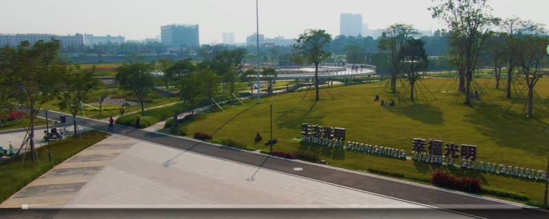 【百灵·靓】深圳楼村湿地公园：明湖映天光，花径起香尘