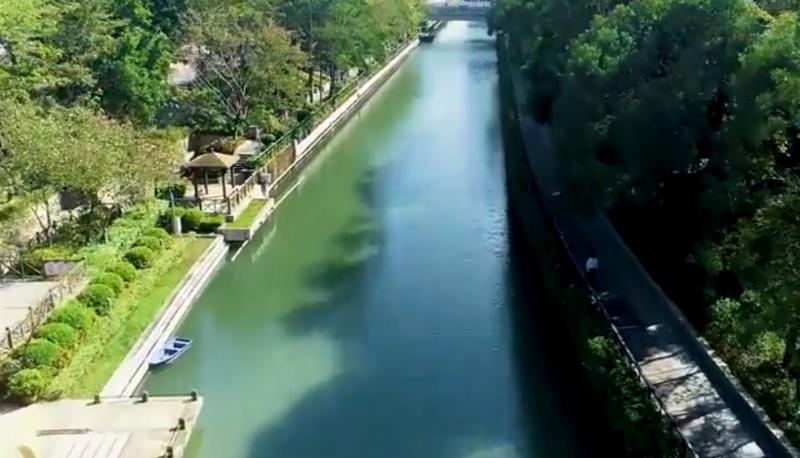 【百灵·靓】深圳盐田河：绿茵几顷 栈道万米