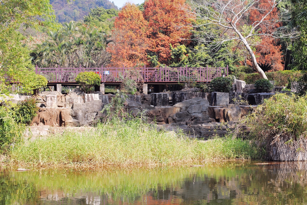 深圳筆架山公園福田河從這裡蜿蜒而過組圖