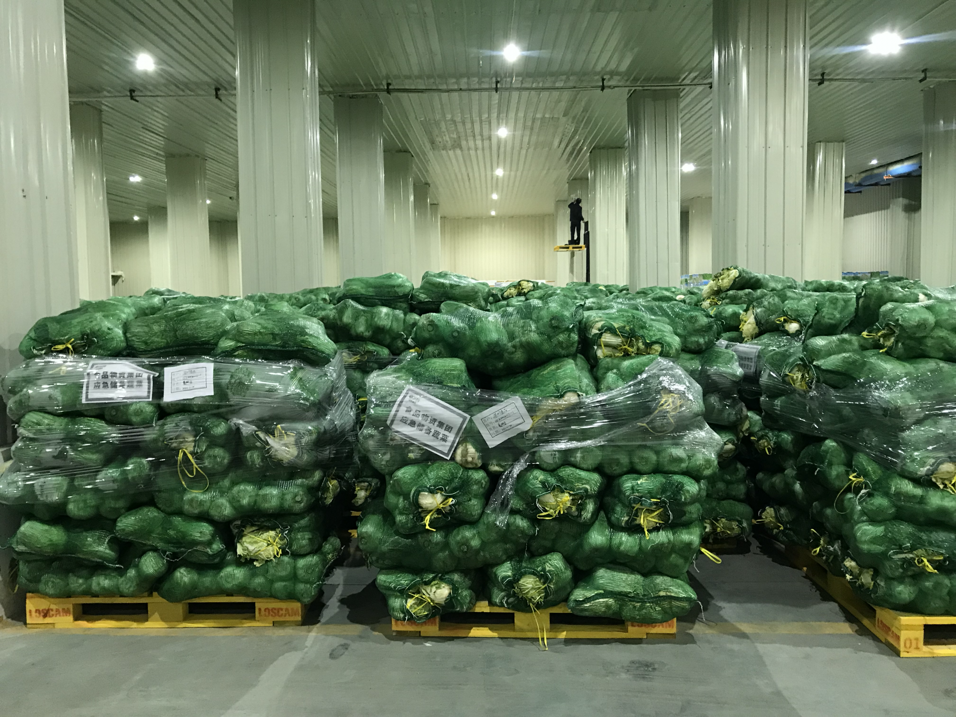 记者探访深圳应急蔬菜储备库检测合格方可入库定期轮换确保新鲜安全