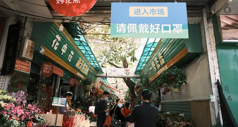【大美深圳】深圳：年味渐浓 姹紫嫣红伴佳节