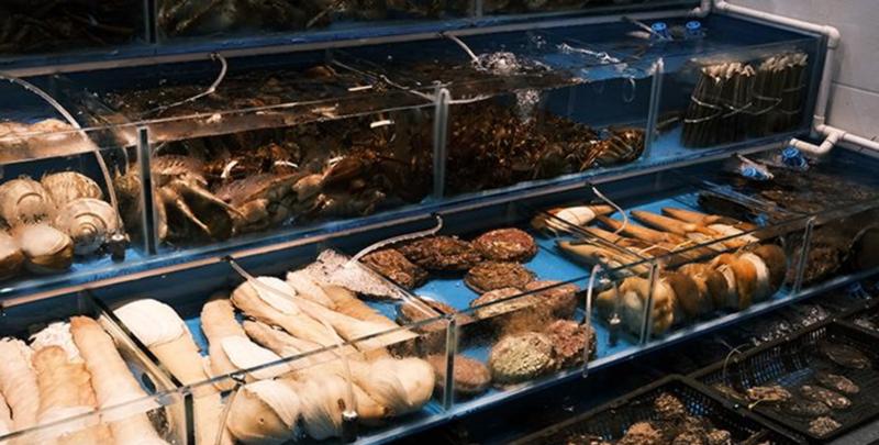 【文化深圳】深圳餐桌上的“海底宝藏” 有“年”的味道