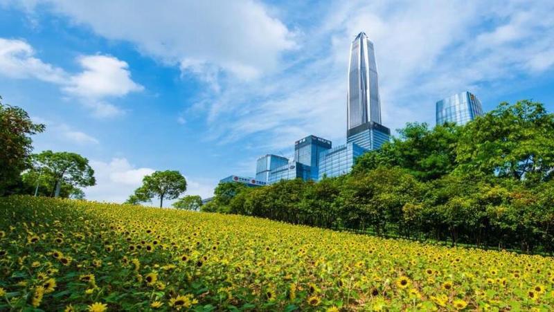 【大美深圳】深圳福田：青山就是美丽 蓝天也是幸福