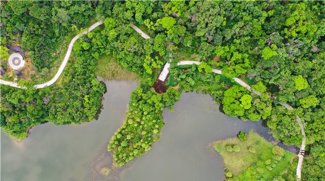 【大美深圳】深圳盐田恩上水库环湖休闲步道：不负春光赏春色