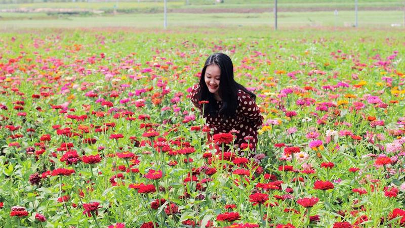 【大美深圳】深圳光明：春天里的奇境花园