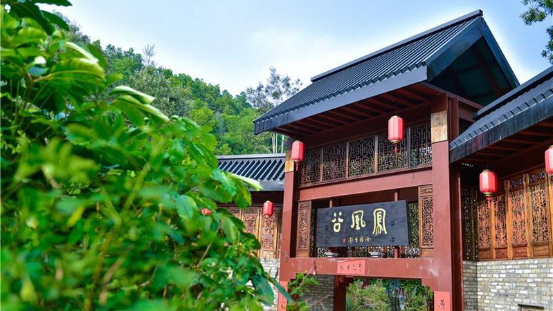 【岭南记忆】探访藏于深圳甘坑客家小镇里的凤凰谷