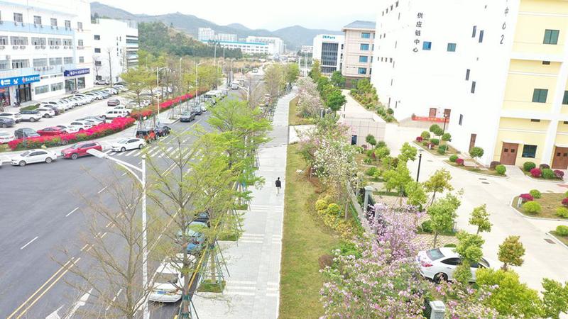 【大美深圳】深汕特别合作区：繁华盛开 城市与大自然和谐共生