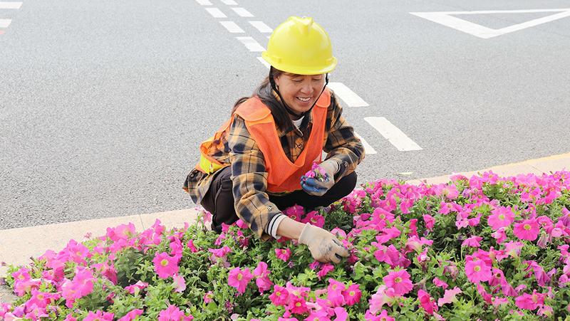 【健康通】深圳光明区为“城市美容师”送上暖心健康大礼包