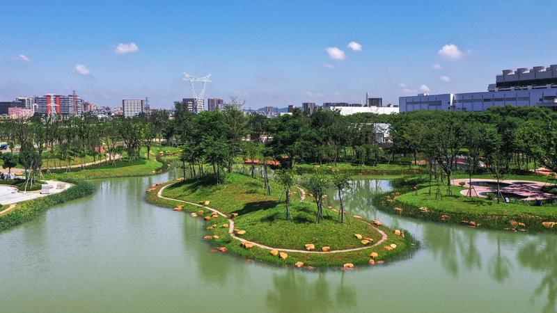【大美深圳】深圳光明鹅颈水湿地公园：满城春色意正浓