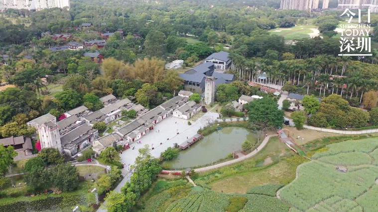 今日深圳3月19日：观澜版画村，城市的文化灵魂