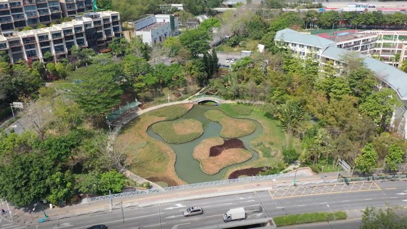 【百灵·靓】隐匿于都市中的一方“净土” 深圳盐田再添“城市绿肺”！