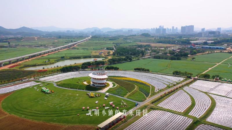 【百灵·靓】今日深圳：在光明小镇，归田园居