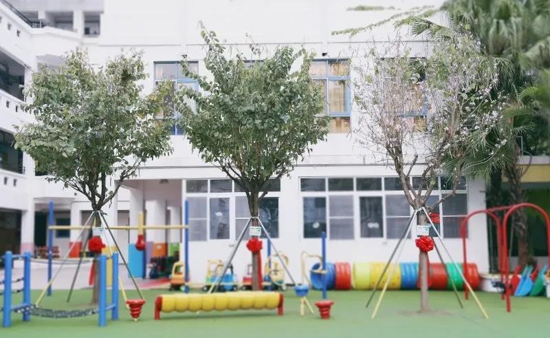 民转公后怎么样福田这所幼儿园发生了翻天覆地的变化