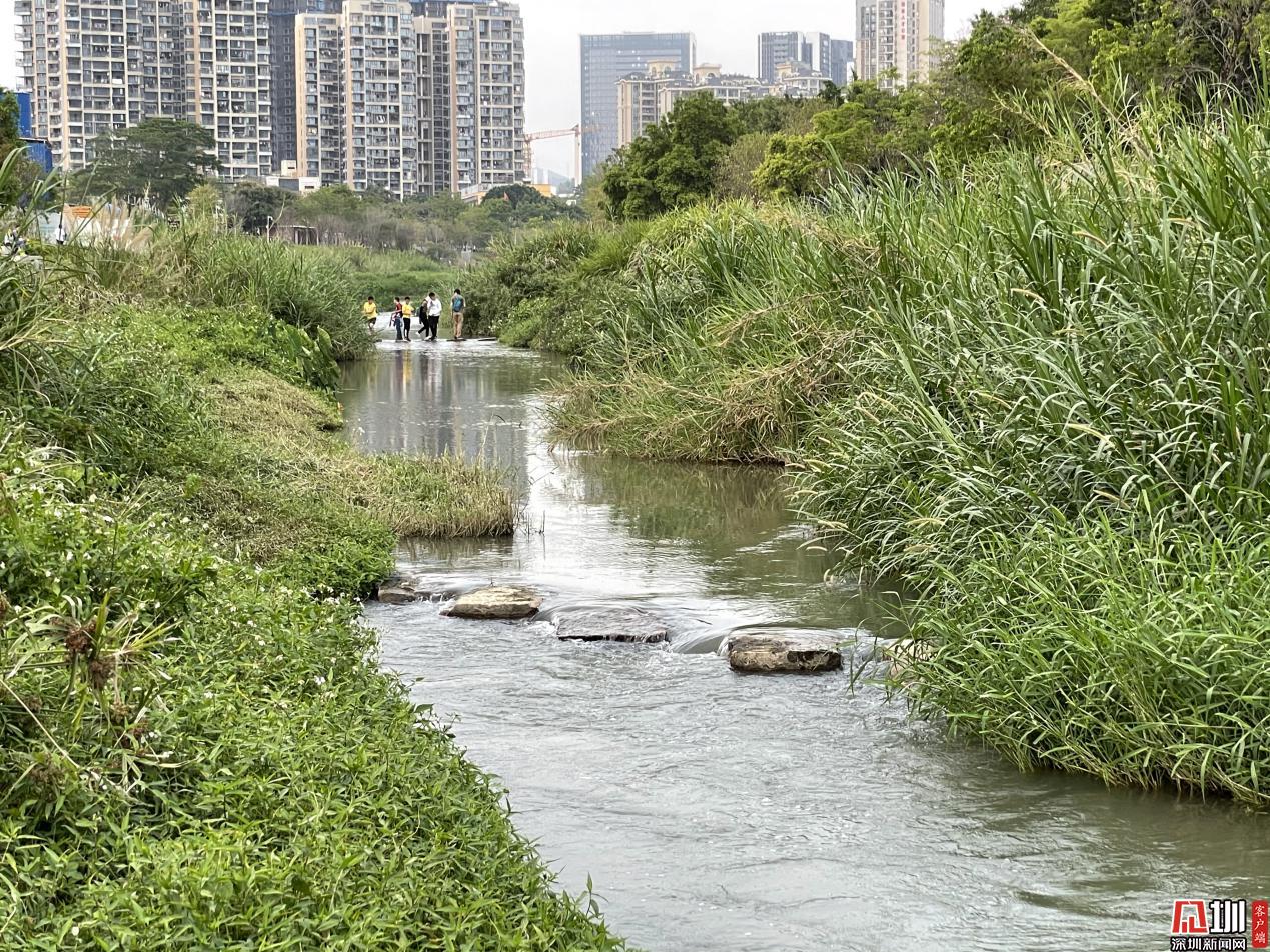 九祥岭湿地公园介绍图片