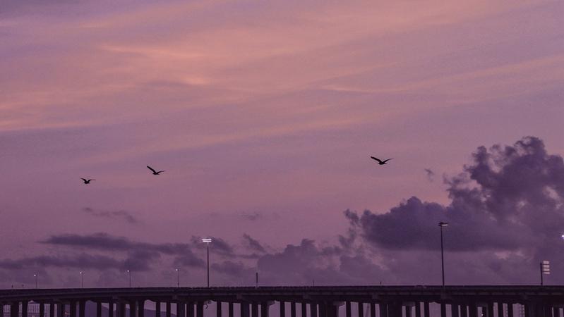【大美深圳】深圳前海：落日余晖，紫色的港湾令人治愈