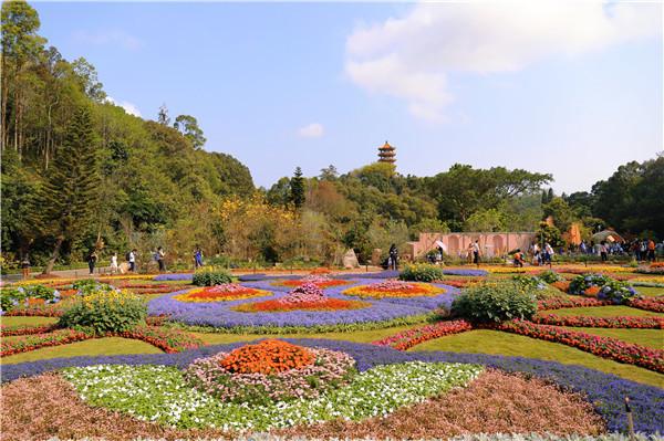 【大美深圳】人间三月芳菲始 深圳仙湖植物园鲜花绽放