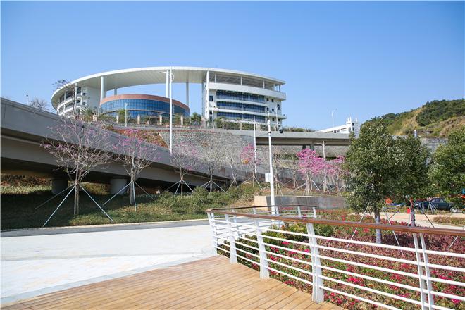 【大美深圳】打卡深圳盐田半山公园带感受大自然馈赠的生态美景