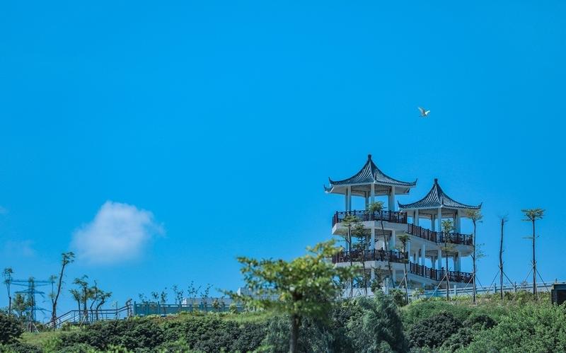 【大美深圳】深圳：活在宝安，入目即画