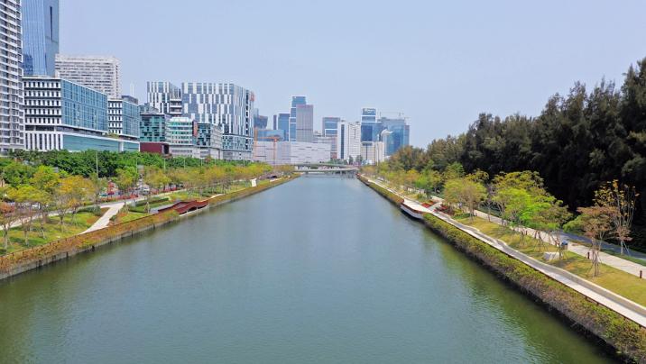 【大美深圳】深圳大沙河：水波荡漾 绿树掩映