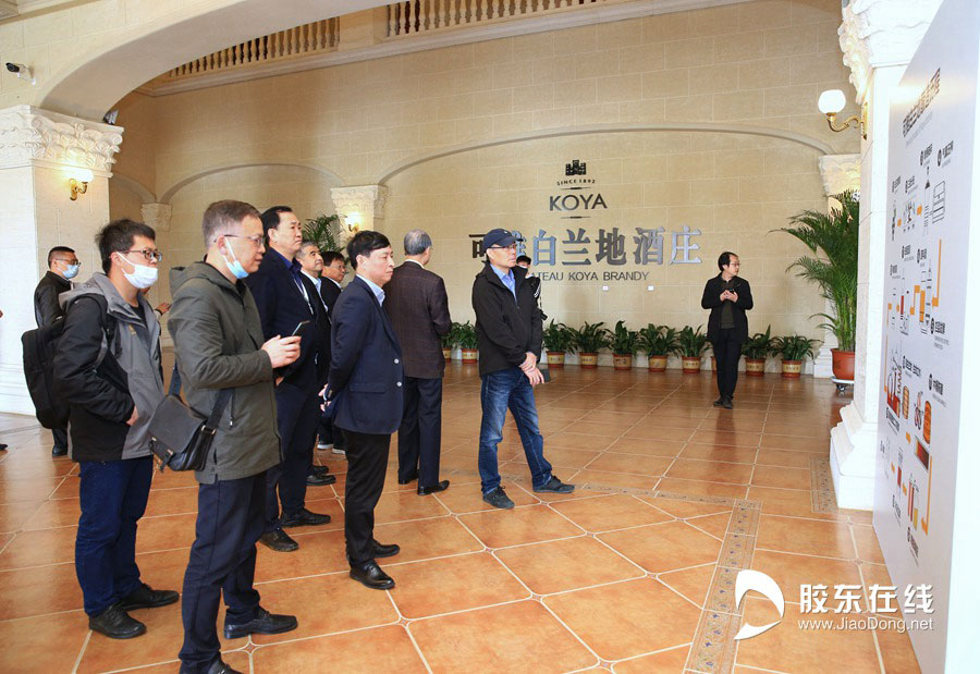 从世界金奖到全球盲品冠军 可雅白兰地的百年荣光_深圳新闻网